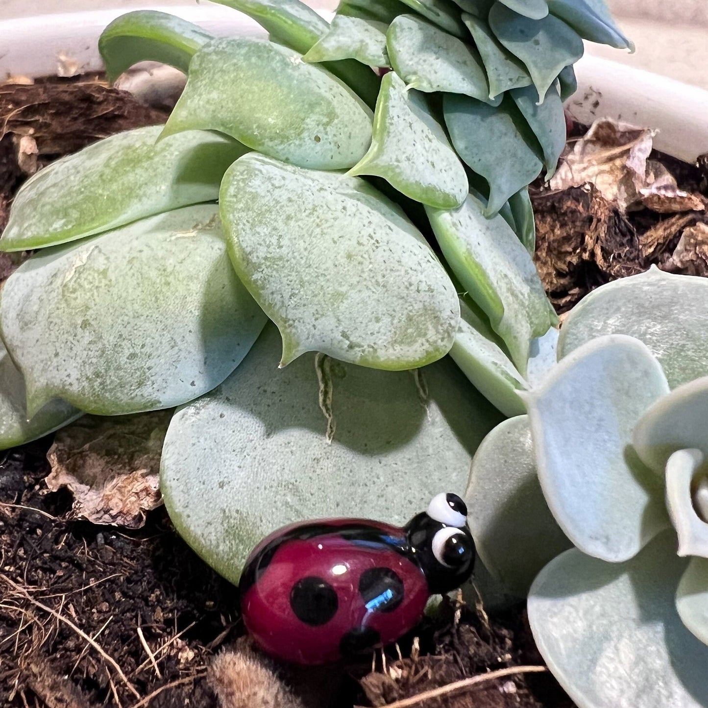Plant Stake Bundle - Ladybug, Turtle, Bee, Mushroom