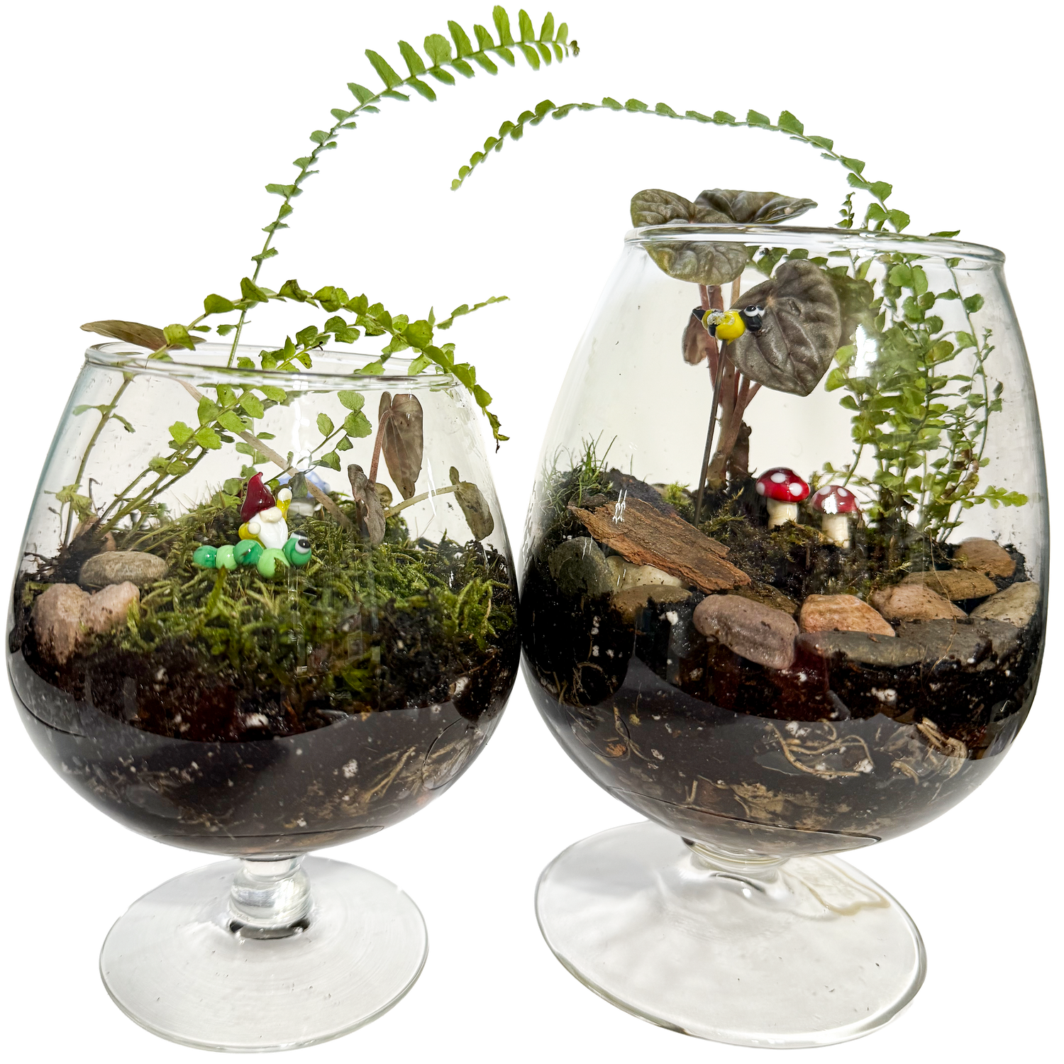 Miniature Garden & Terrarium Decor