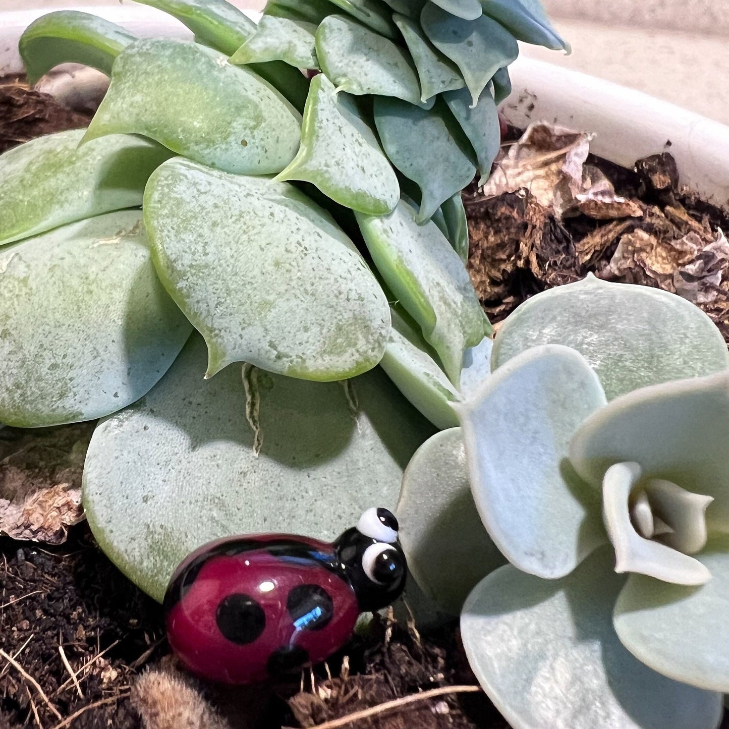 Ladybug Fairy Garden Charm